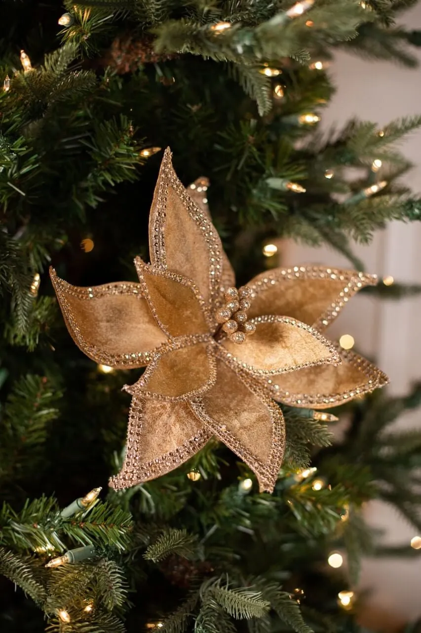 24 JEWELED EDGE REGAL POINSETTIA STEM