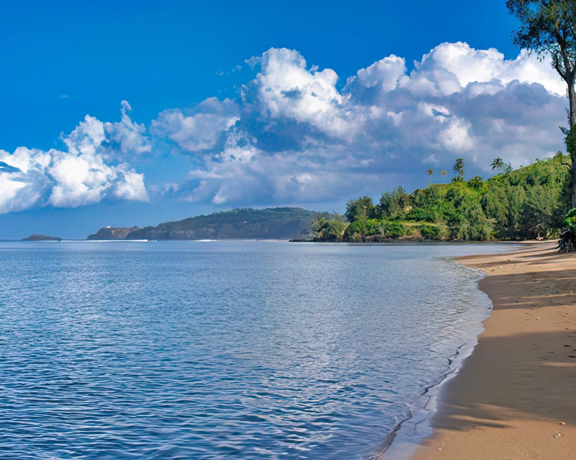Pacific Fantasy