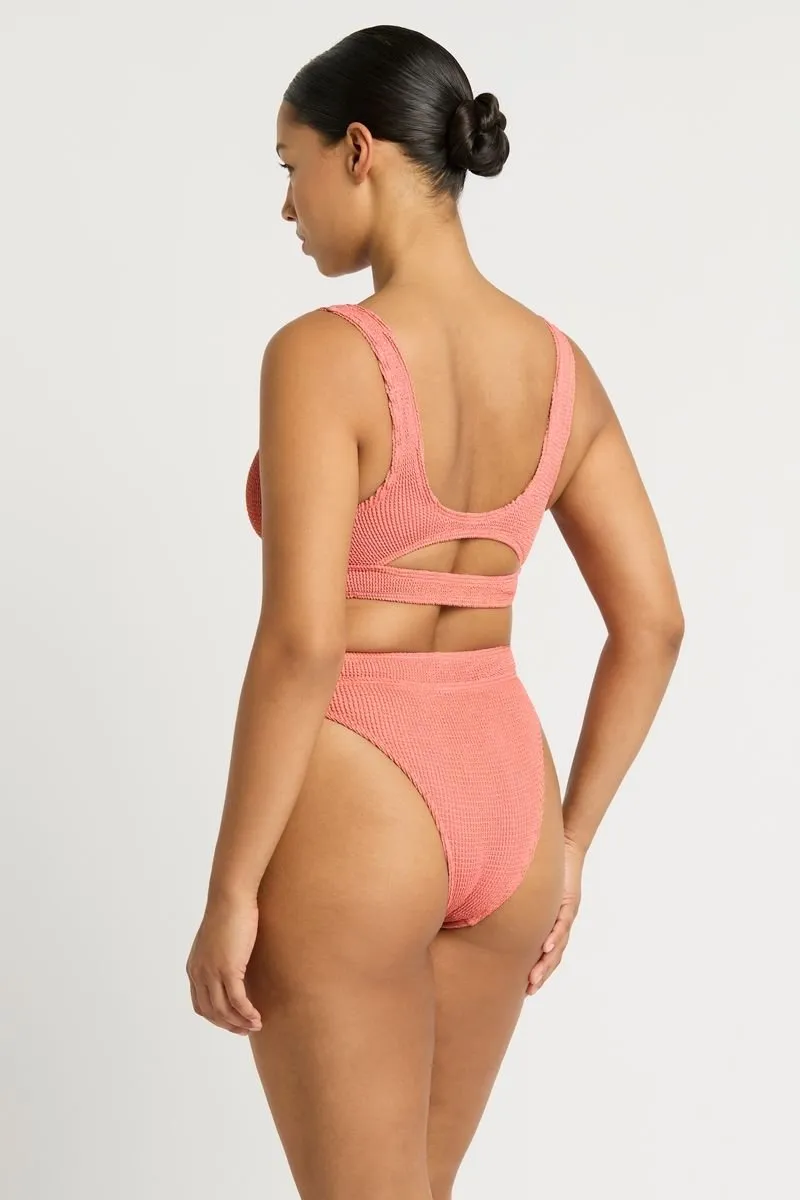 THE SAVANNAH BRIEF