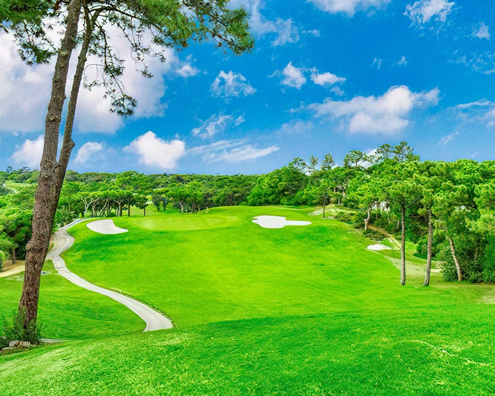 Vilar Do Golf Standard
